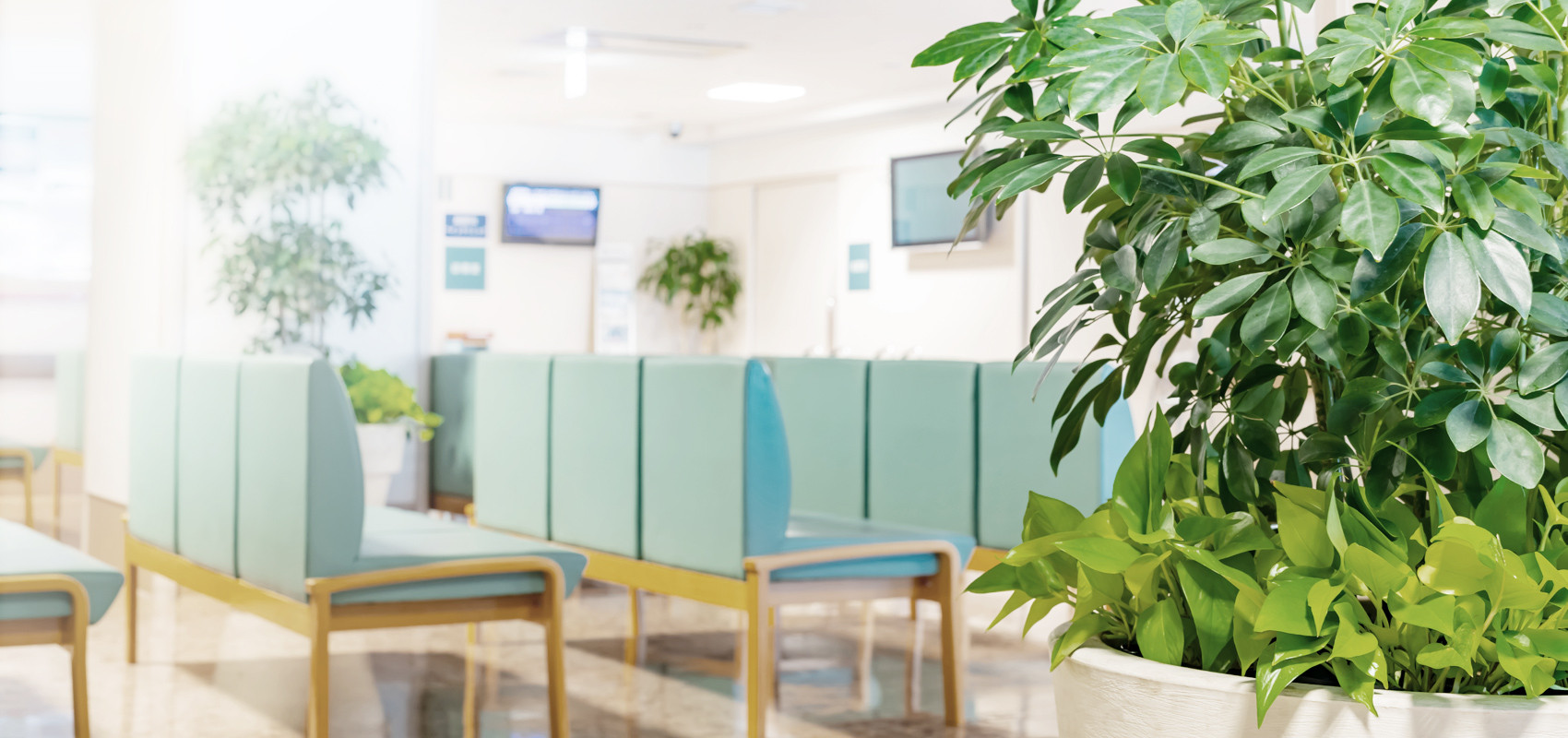 名古屋直販デモサイト５（医療3.1ver）